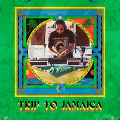 Trip To Jamaica 🇯🇲