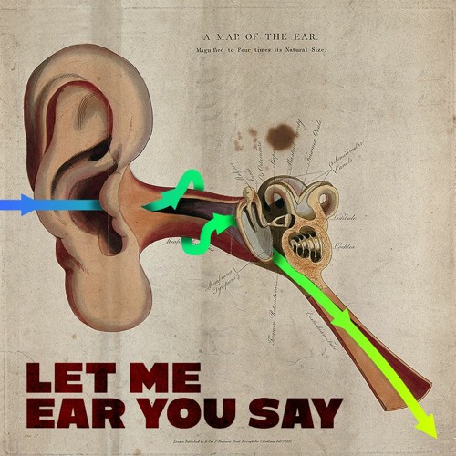 Let Me Ear You Say