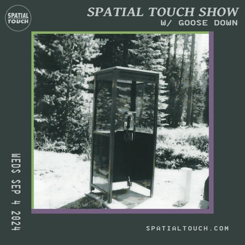 The Spatial Touch Show (w/ Goose Down) 09-04-24