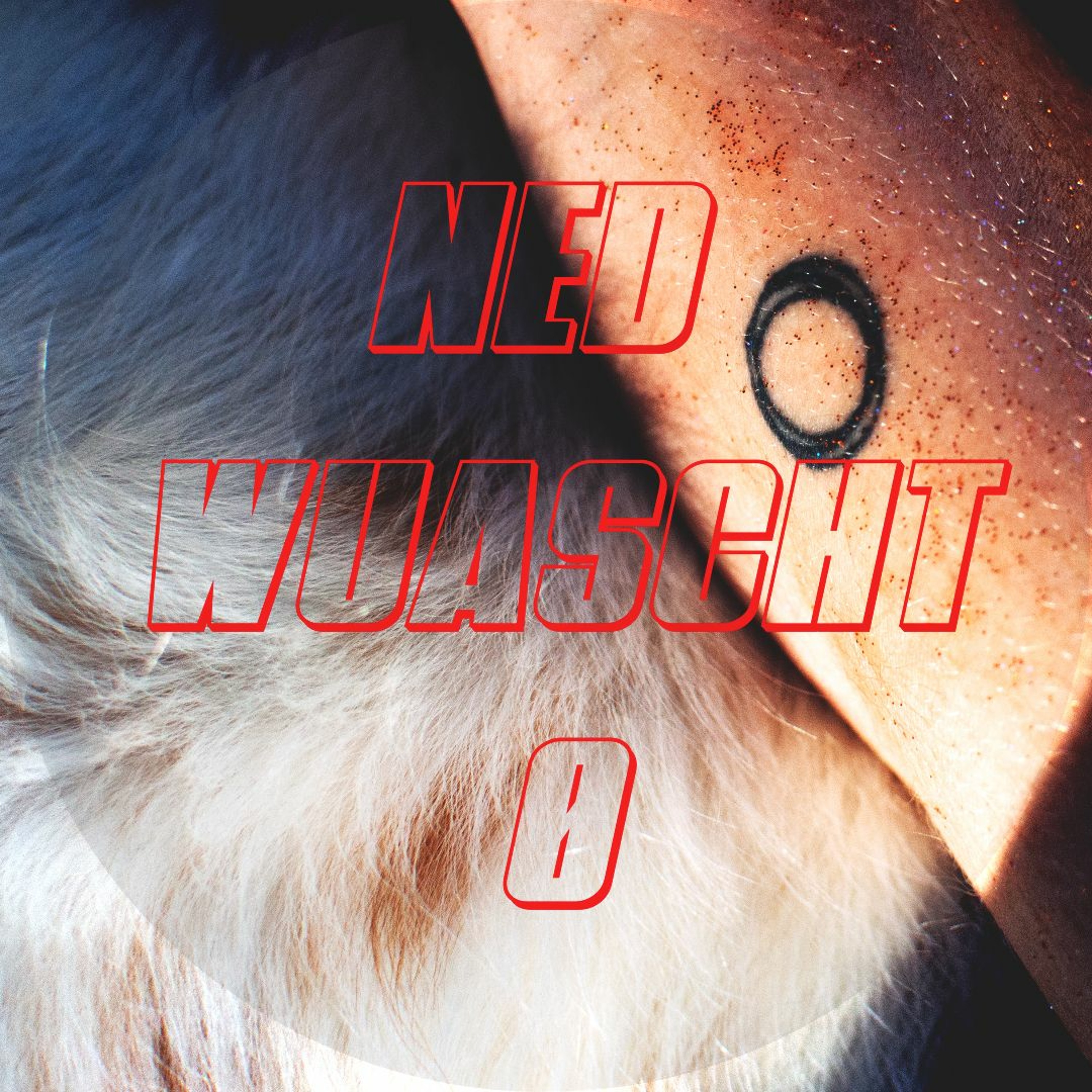 Ned Wuascht