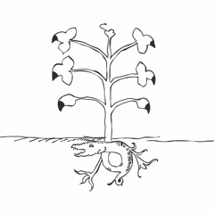 1 - Dans le chant grondant des vibrations autour