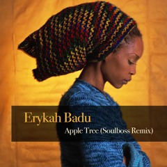Apple Tree (Soulboss Remix) - Erykah Badu