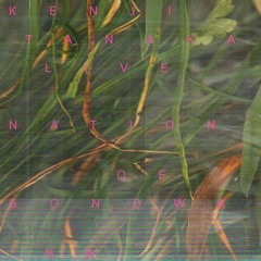 Kenji Tanaka LIVE @ Nation of Gondwana // Wiese 2026