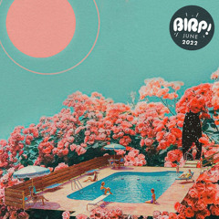 Indie Playlist • BIRP! June 2022