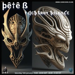 I Destroy Silence January 23 - Pete B