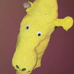 J-Rave with Jeff the J-raffe