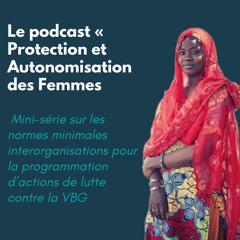 Mini-série sur les normes minimales pour la programmation d’actions de lutte contre la VBG: Norme 1