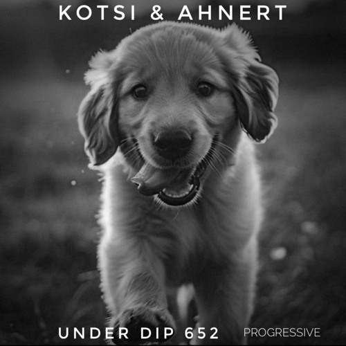 Kotsi & Ahnert UNDER DIP Ep. 652 Pogressive House (122bpm)