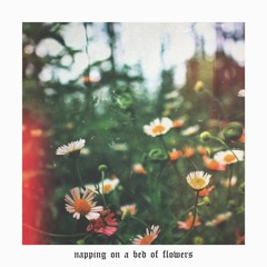 drrreems & fnonose - napping on a bed of flowers