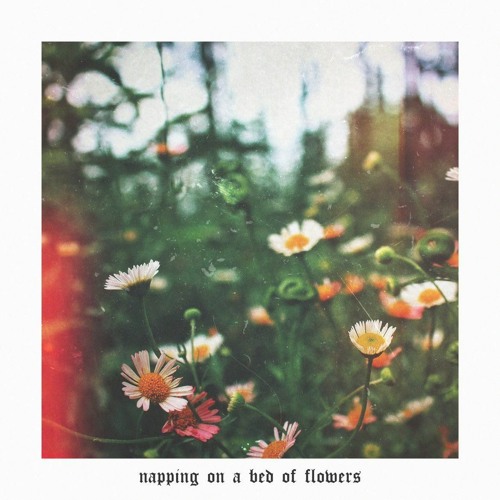 drrreems & fnonose - napping on a bed of flowers