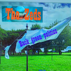 Back green politics