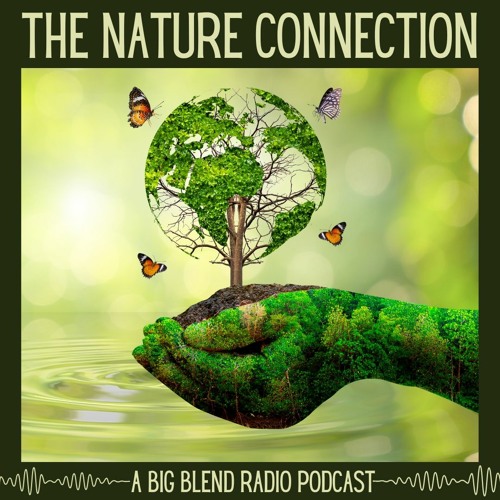 Stream Big Blend Radio | Listen to Nature Connection Podcast - 2024 ...