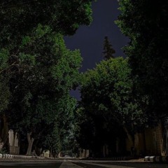 Capsulon (Prod. By Kemu).mp3