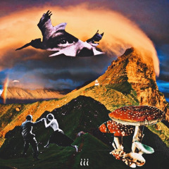 JOULE$ - Sunday Funday (prod burd)