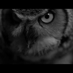 Iron -Woodkid (Slowed)