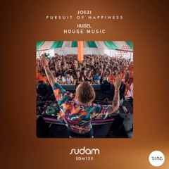 Joezi & Hugel - Pursuit Of Happiness x House Music (TWINS Edit)