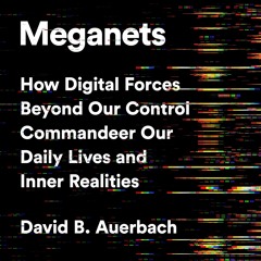 Meganets by David B. Auerbach Read by L. J. Ganser - Audiobook Excerpt
