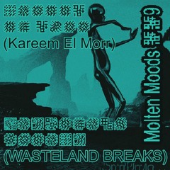 Tsugi Premiere : Kareem El Morr - Wasteland Breaks