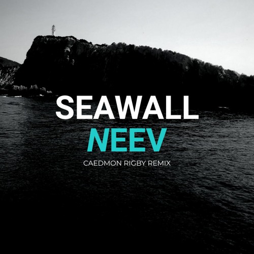 Neev - Seawall (Caedmon Rigby Remix)