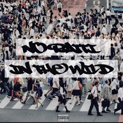 No Ratti In The Wild