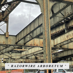 Beton Tåge - Brownfield Remediation