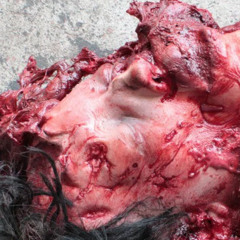 HYDRAULIC DEATH MACHINE - HAMMER SKULL FUCKED