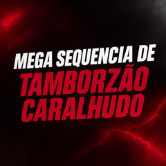 MEGA SEQUENCIA DE TAMBORZÃO CARALHUDO