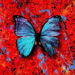 Visiting Hours - Ed Sheeran (COVER)