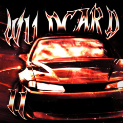 WILDCARD 2