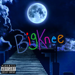Slim Shady BigKnee Remix (Demo)