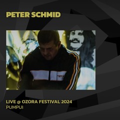 Peter Schmid @ Ozora 2024 | Pumpui