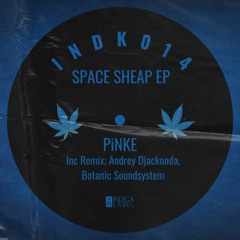 INDK014 - PiNKE - Cloudy Morning In My House (Original Mix)