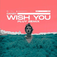 Cansy - Wish You (Pluy Remix)