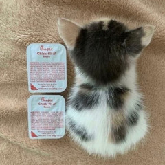 TINY BEAT