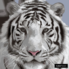 Cumbia mix Dj Felino Atlanta