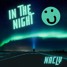 In The Night (Original Mix)