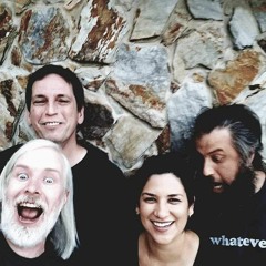 Little Red Corvette (Prince Cover - We Use Wires Live)