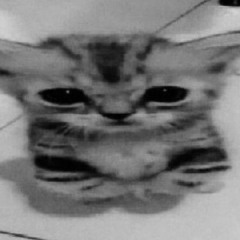 alguien que te quiera asi