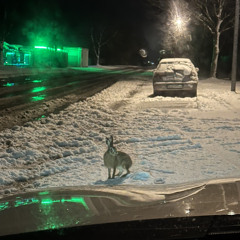 lil freestyle (prod. soulyptic)