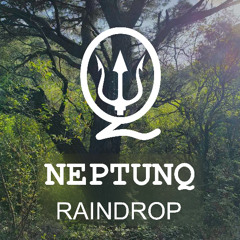 Raindrop