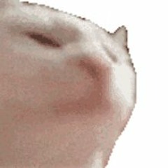 Riddim Jakes a Savage Vol.12