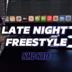 Late Night Freestyle(prod. Mirgalean)