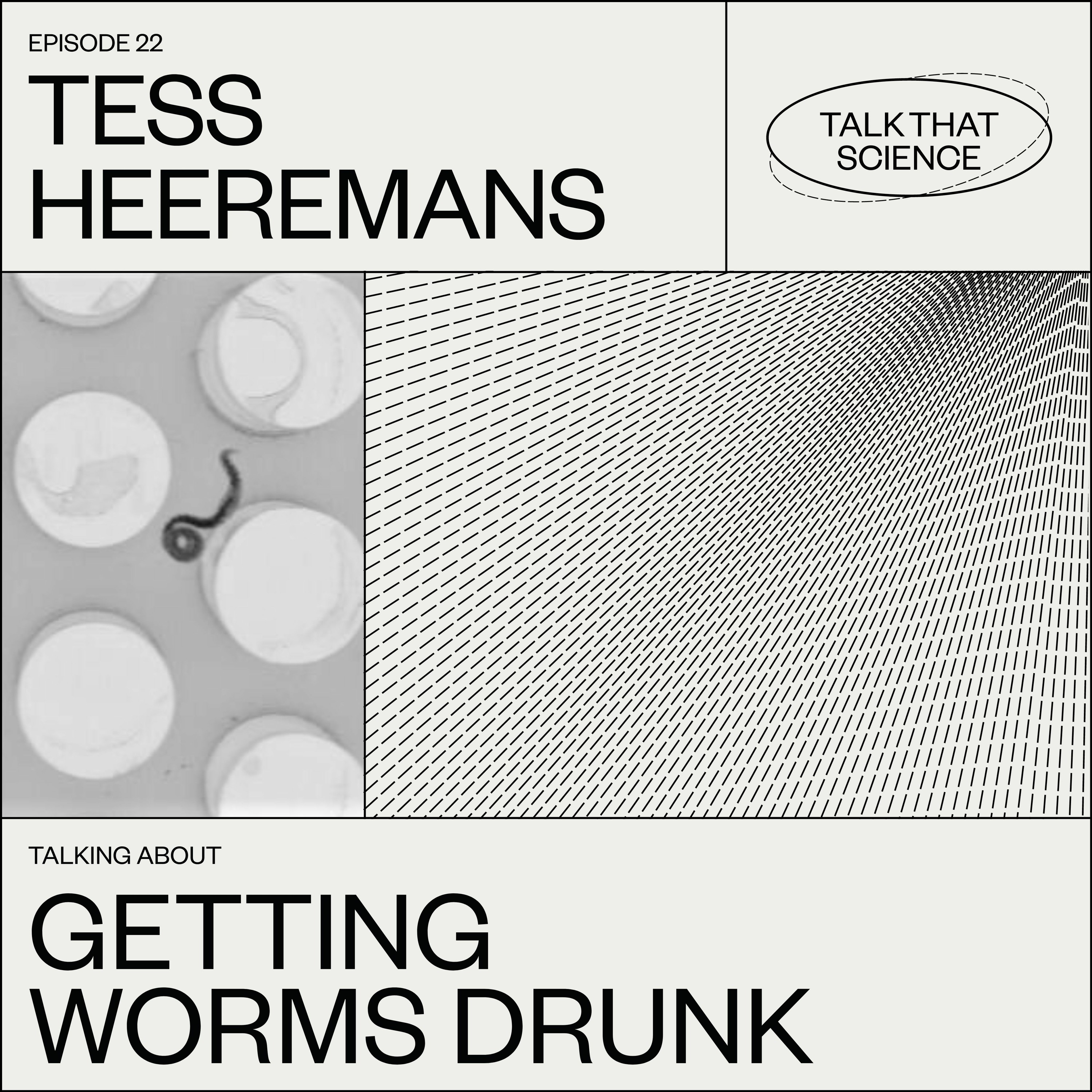 Getting Worms Drunk @Museumnight Amsterdam