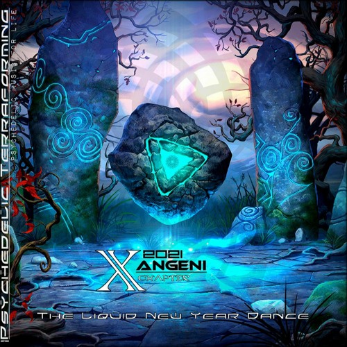 Goa Psy Progressive Dark Trance DJ Mix Set 2021 - The Liquid New Year Dance Mix. Chapter 10.