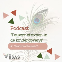 #1. Waarom Pauwer?