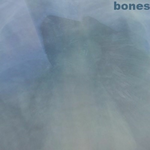 bones