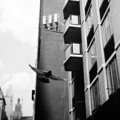 Tape 22 - Outage - 02