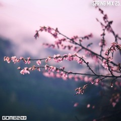 Gomez92 - Spring Mix 2025