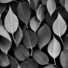 Iron Fallen Leaves.WAV