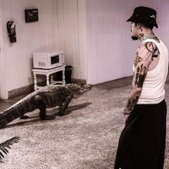 FINAL WARNING (LILMICRODICK REMIX) (NLE CHOPPA SONG)